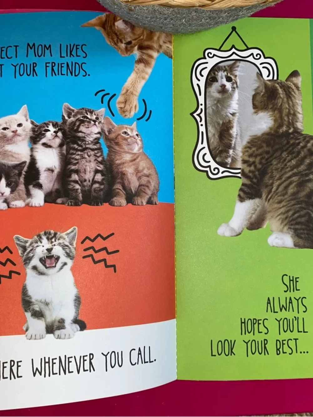 6 PC Cat Mom Gift Basket